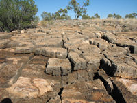 Limestone pavement, Great Nowangie Cave